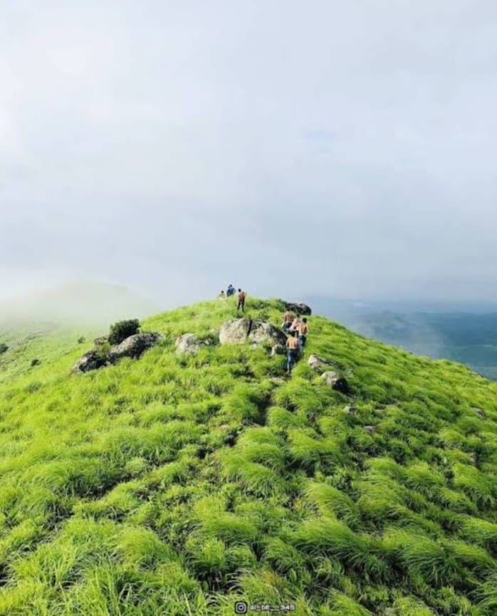 Palkulamedu