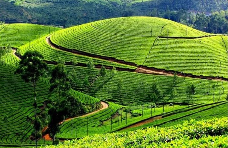 munnar